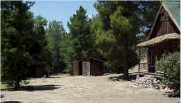 BR_pine.jpg (44095 bytes)