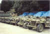 jeeps.jpg (70072 bytes)