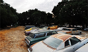 Junk Yard