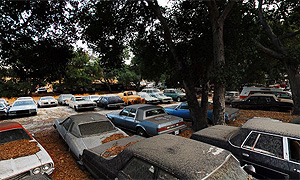 Junk Yard